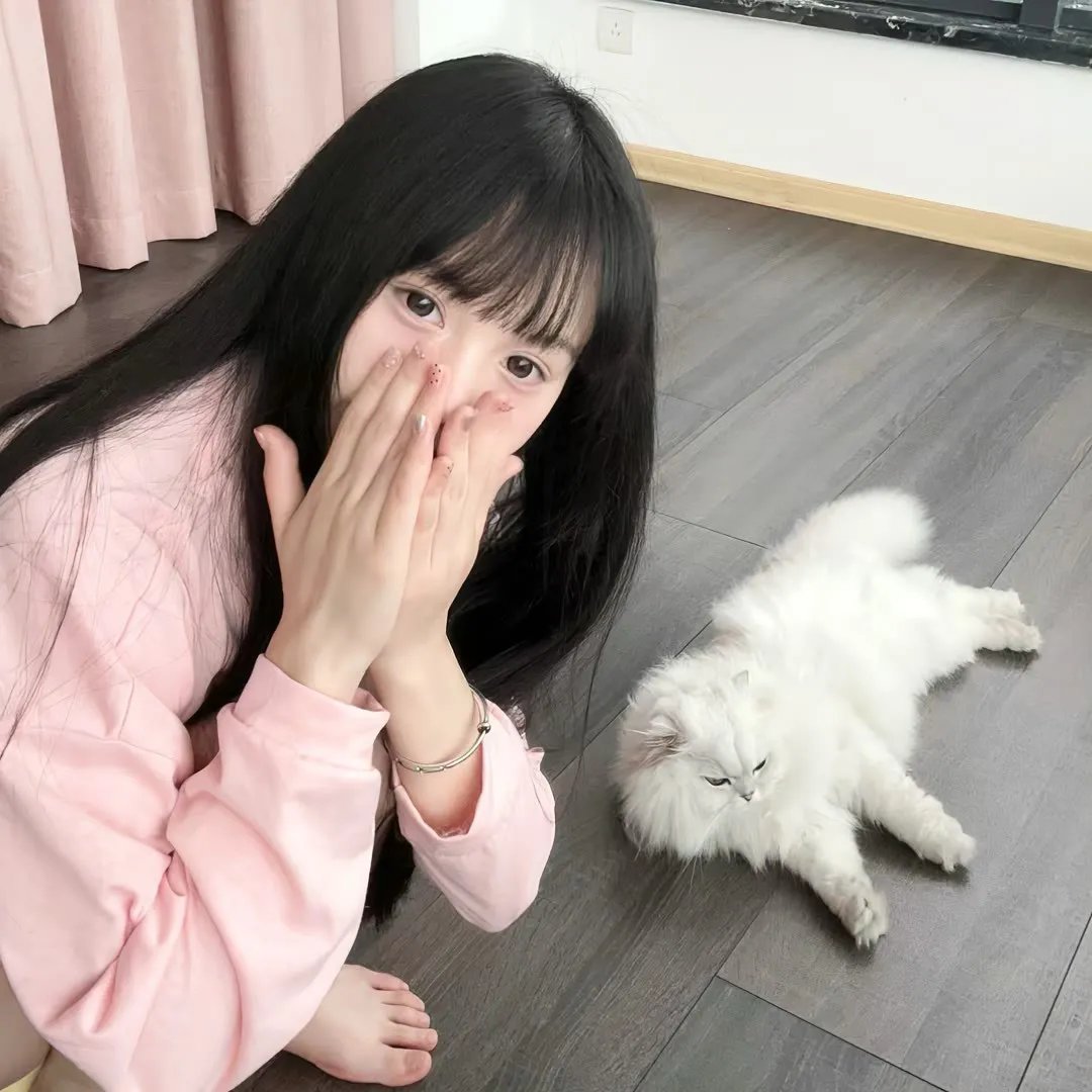 狮子山下的故事粤语